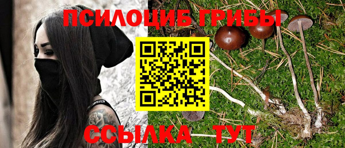 Галлюциногенные грибы мухоморы Родники