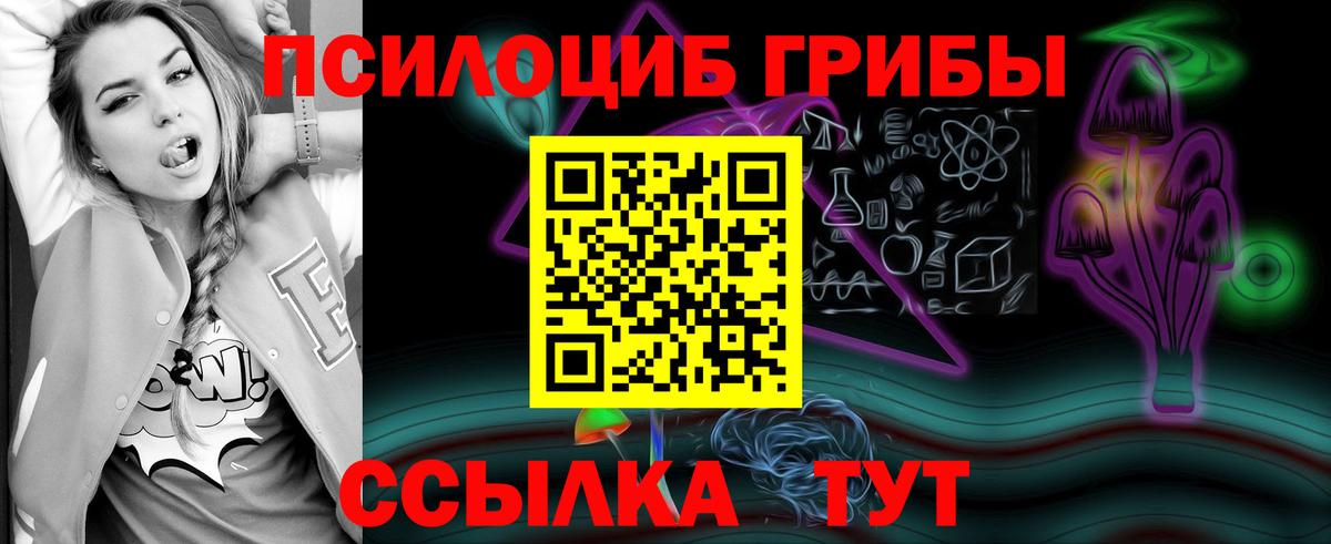 Галлюциногенные грибы Psilocybe  Галлюциногенные грибы Psilocybe  Вход с VPN  Родники 